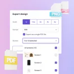 export design