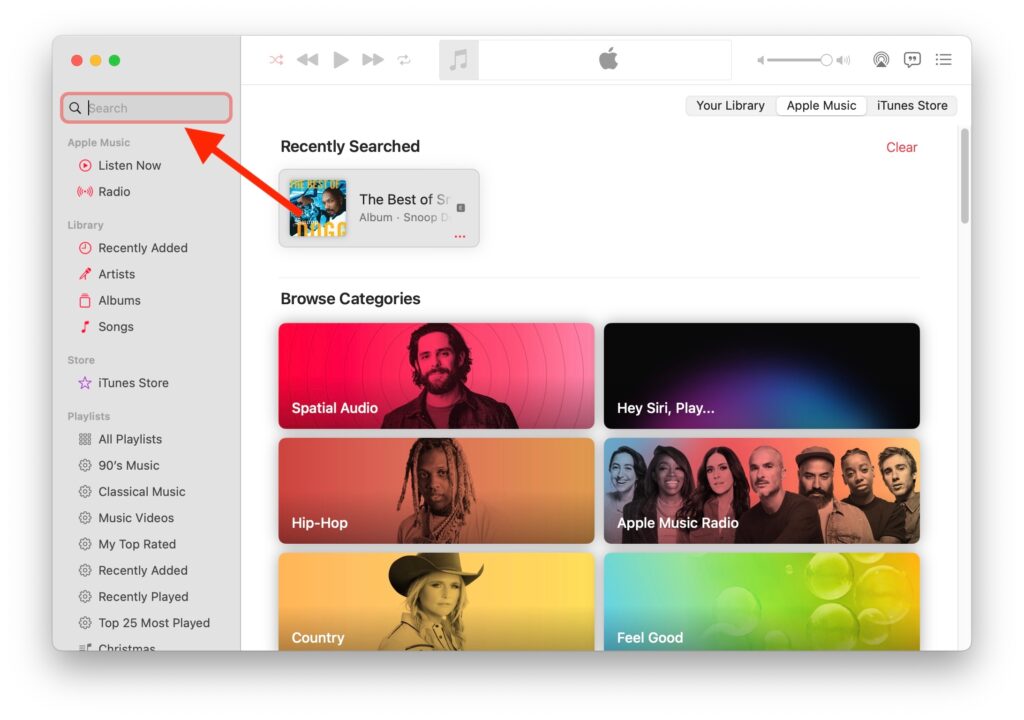 Apple Search Music Bar